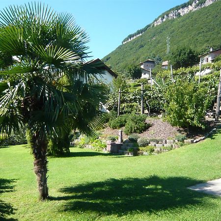Garni Hotel Ritterhof Termeno Zewnętrze zdjęcie